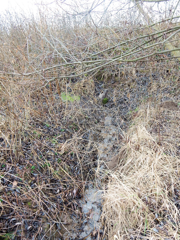 studánka U Kabátu 2 (13102) - prosinec 2019