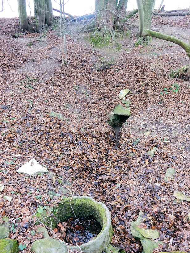 studánka Pod Chlumem (13103) - prosinec 2019