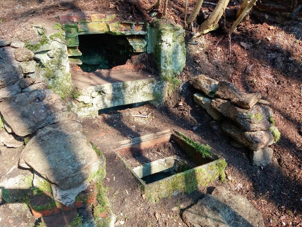 studánka bez jména (13104) - březen 2025