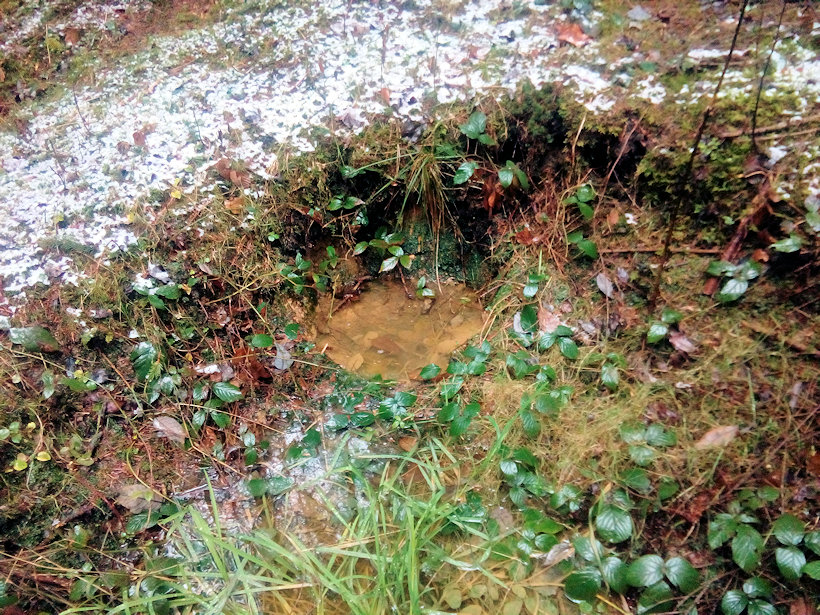 studánka Nad Kostkovem (13107) - prosinec 2019