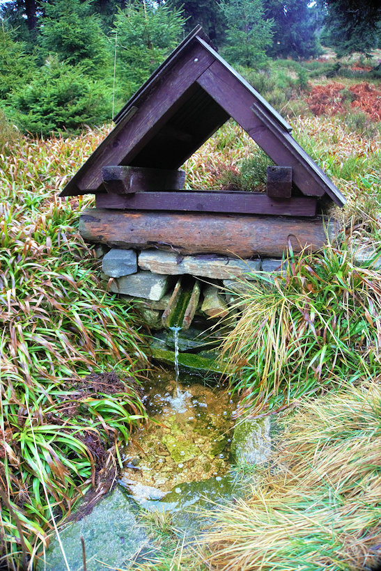 studánka bez jména (13109) - listopad 2019