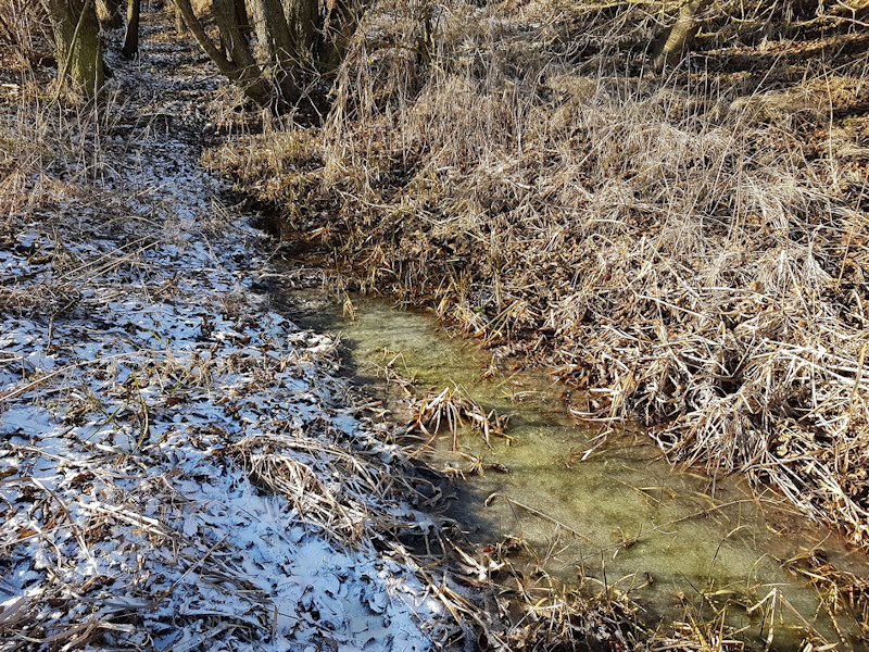pramen bez jména (13120) - leden 2020