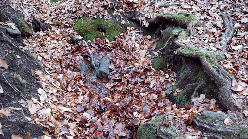 Lojzova studánka (13122) - leden 2020