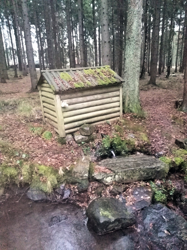 studánka U Prokopa (13124) - leden 2020