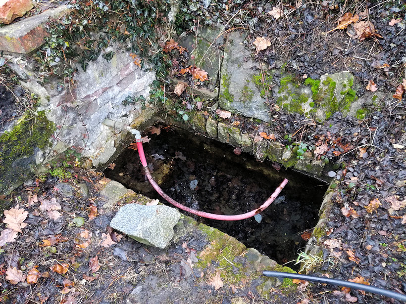 studánka Beze jména (13133) - leden 2020