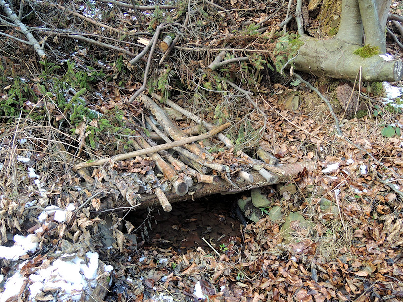 studánka bez jména (13135) - leden 2020