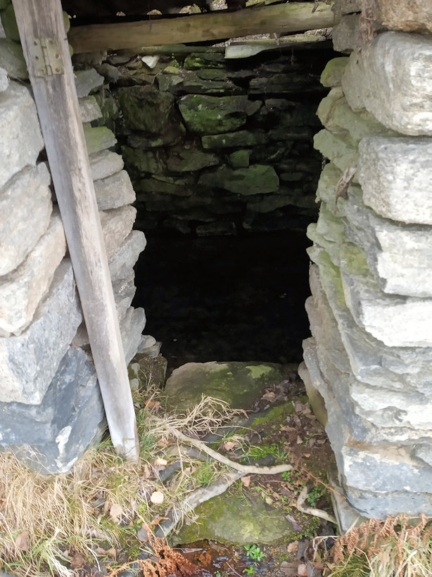 studánka Martinka (13142) - únor 2020