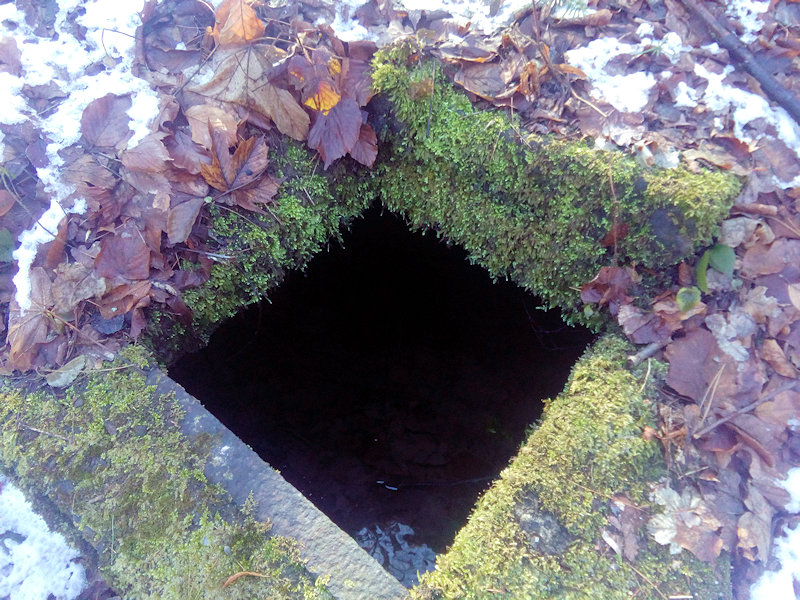 studánka Na Pasekách (13147) - únor 2020