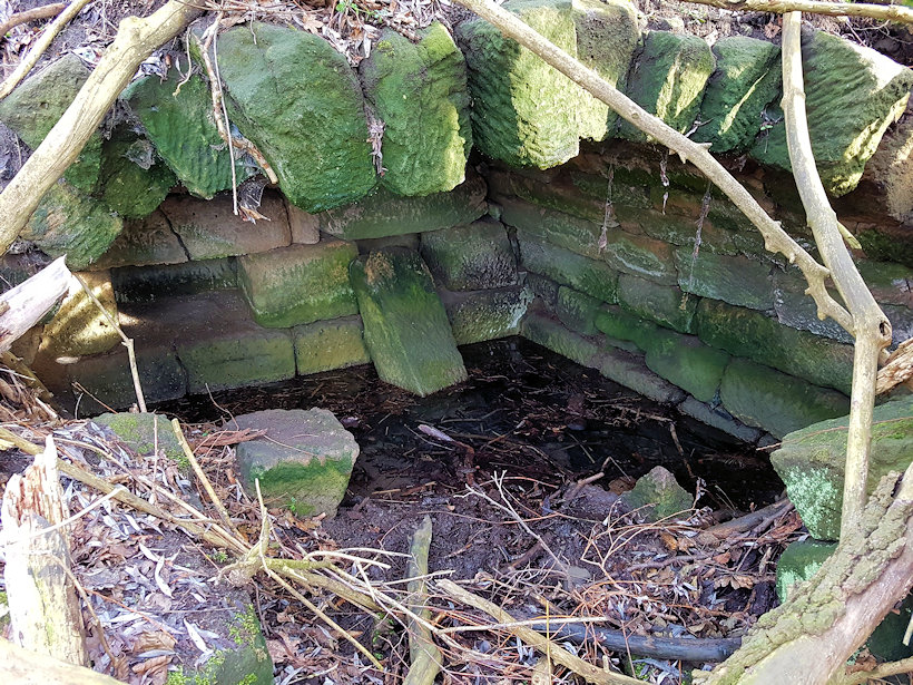 studánka Kraví Hora (13150) - únor 2020