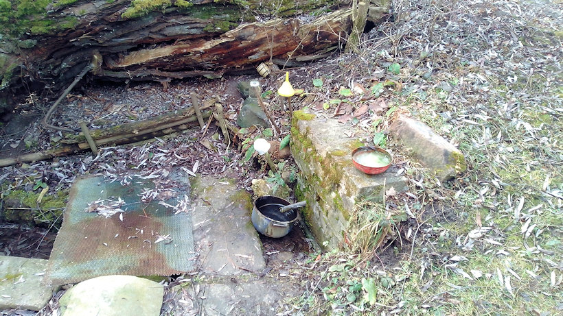 studánka bez jména (13151) - únor 2020