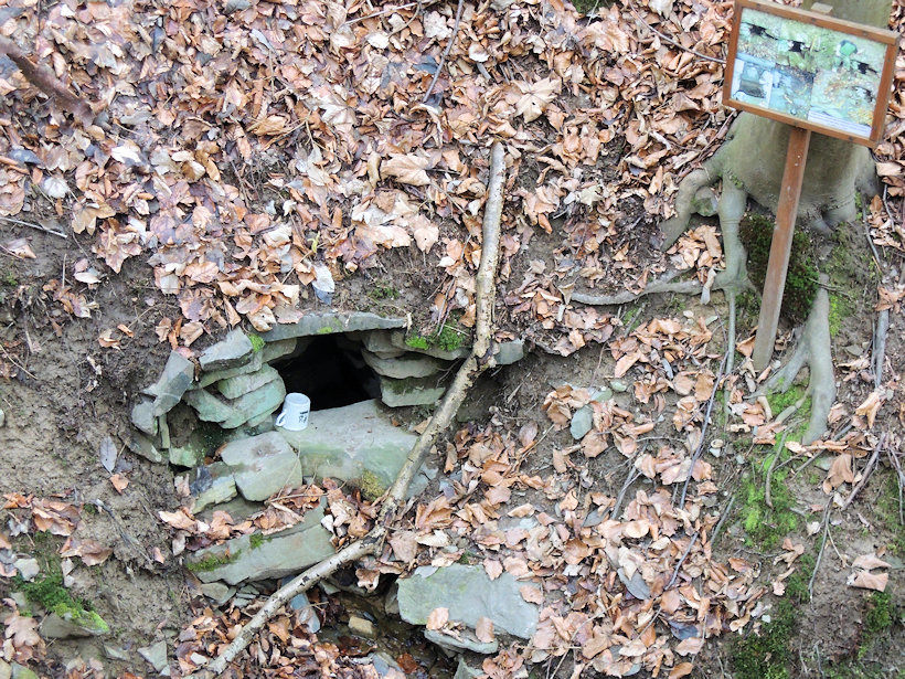 studánka U čertovy kaple (13165) - únor 2020