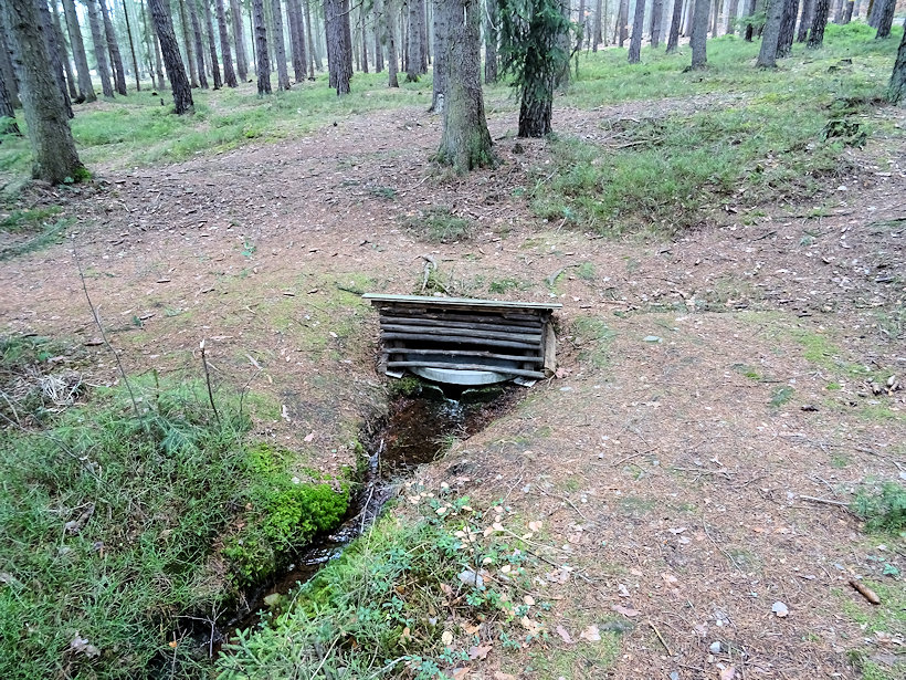 studánka V Požáru (13190) - březen 2020