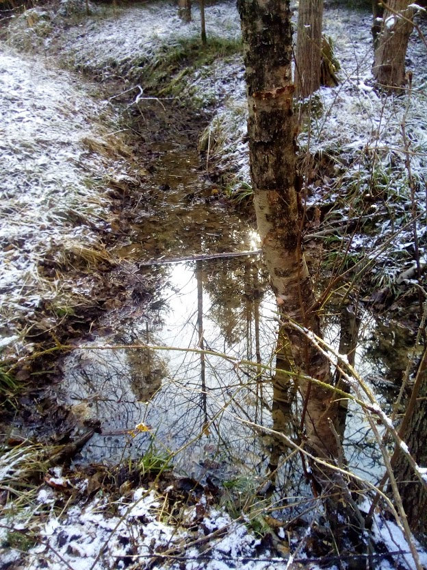 Kančí prameny (13201) - březen 2020