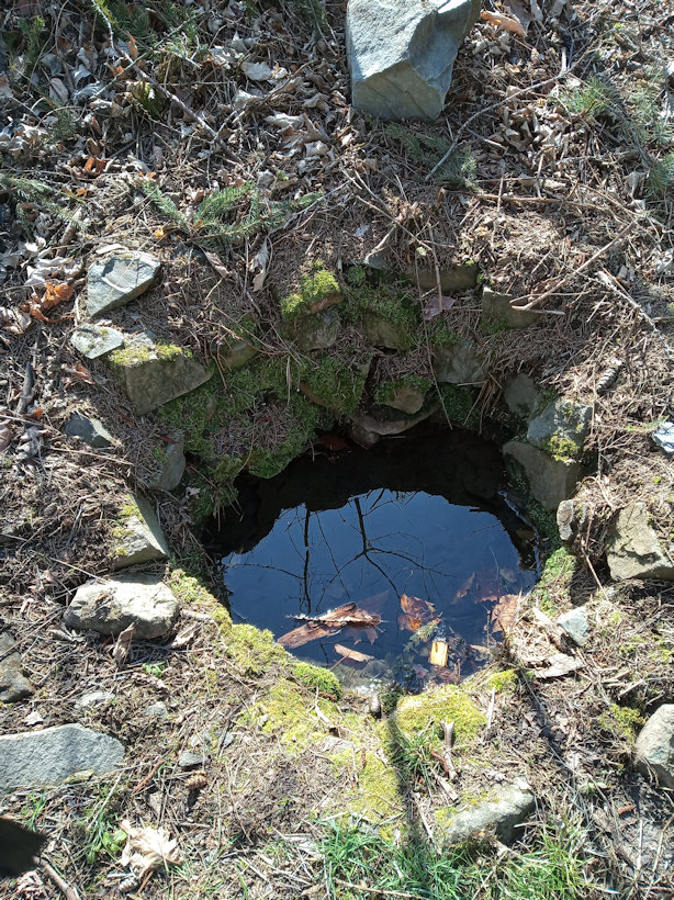 studánka Zavadilka (13202) - březen 2020