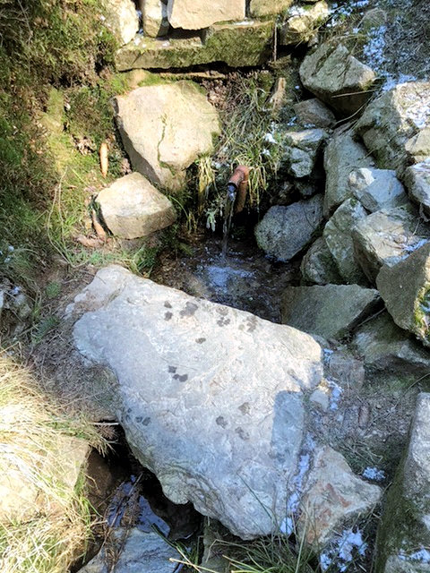 studánka Prdlavka (13203) - březen 2020