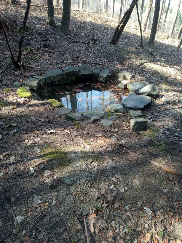 Mikiho studánka (13217) - březen 2020