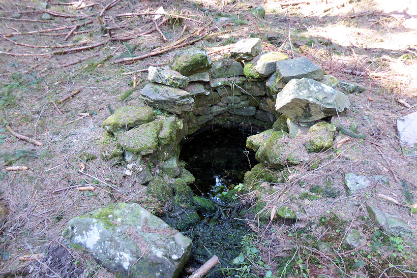 studánka bez jména (13228) - duben 2020