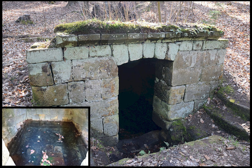 studánka Nad Šoupačkou (13235) - duben 2020