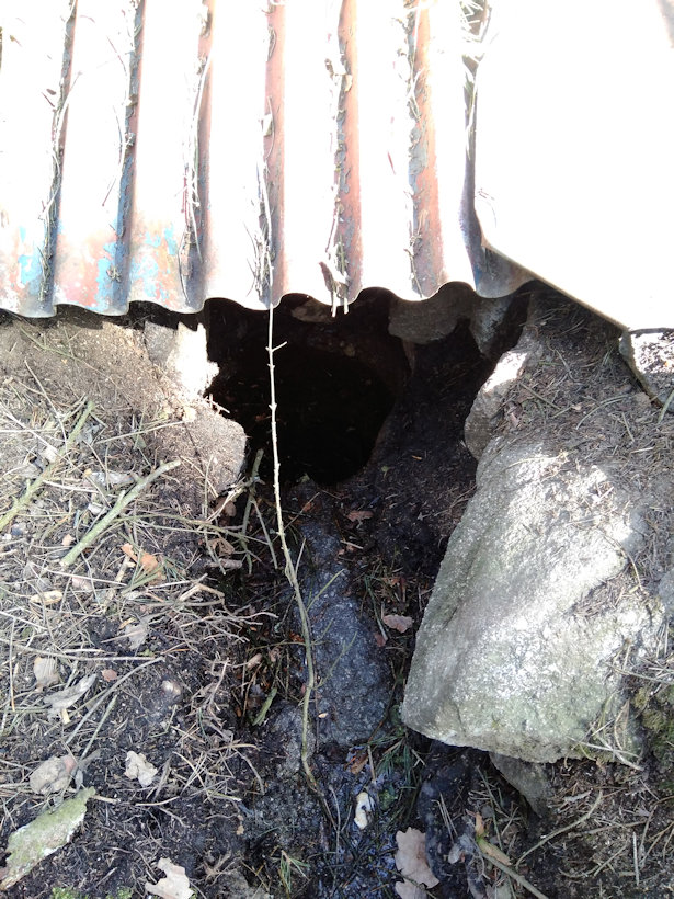 studánka bez jména (13242) - březen 2020