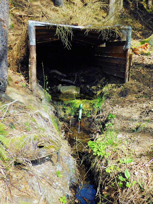 studánka Samota (13244) - duben 2020