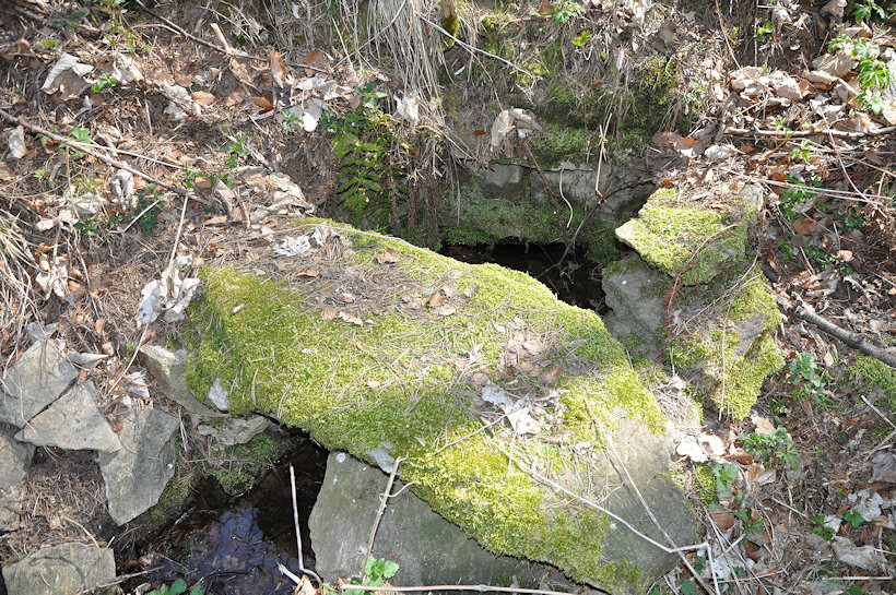 studánka V Dolci (13250) - duben 2020