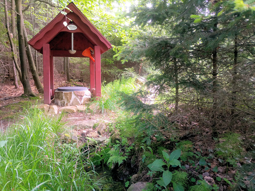 Lhotecká studánka (13260) - květen 2019