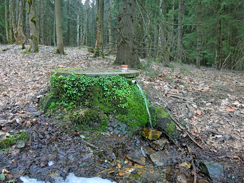 Bedřichovský pramen (13262) - duben 2020