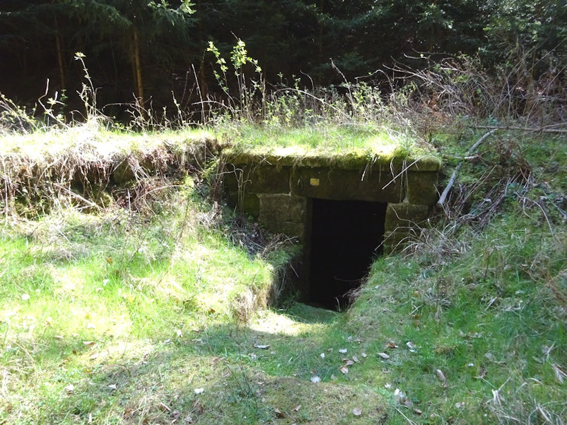 studánka V Týnském dole (13271) - duben 2020