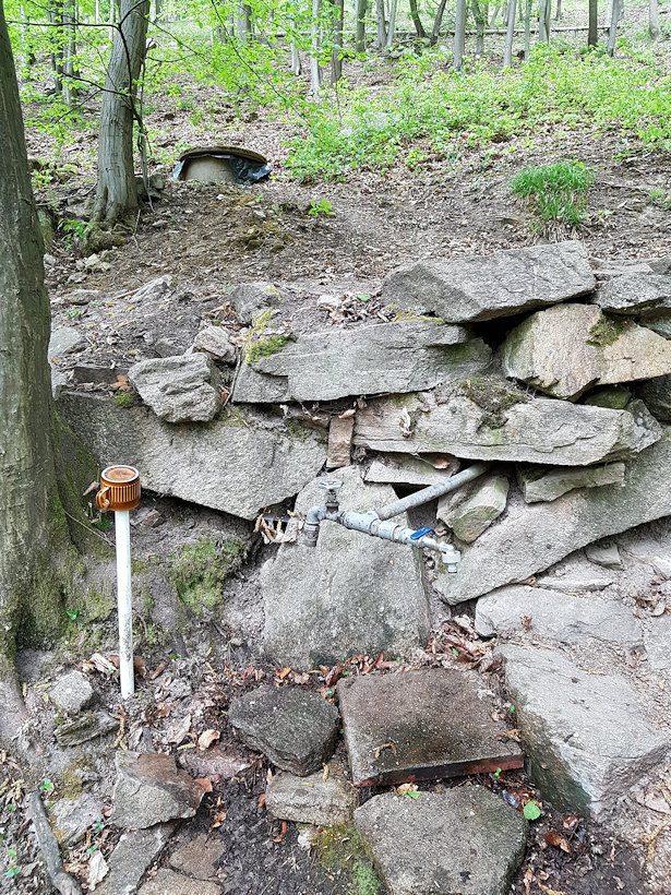 studánka Nad Boračí (13276) - duben 2020