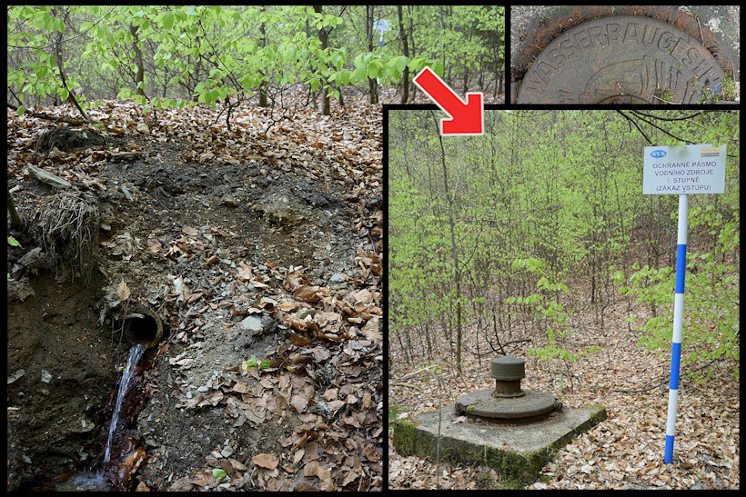 studánka Nad modrou (13282) - duben 2020