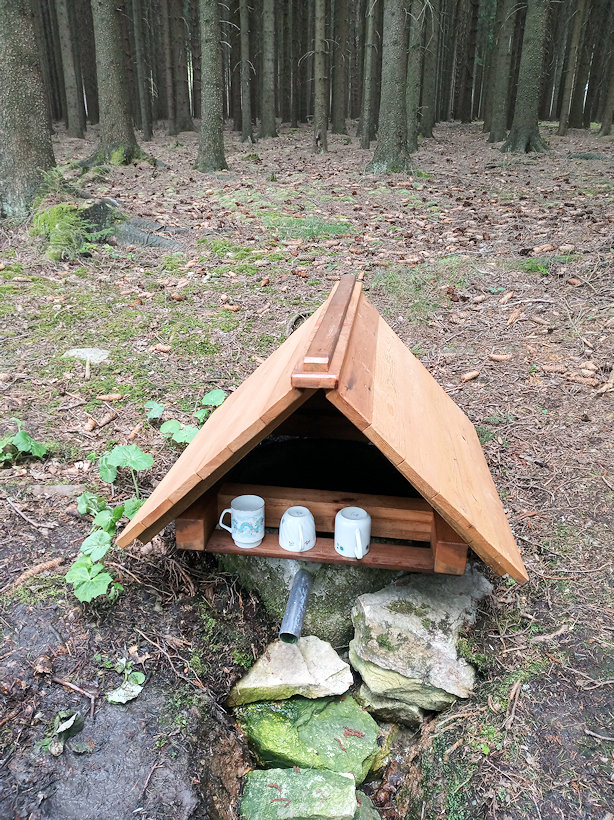 studánka V Ploníku (13289) - duben 2020