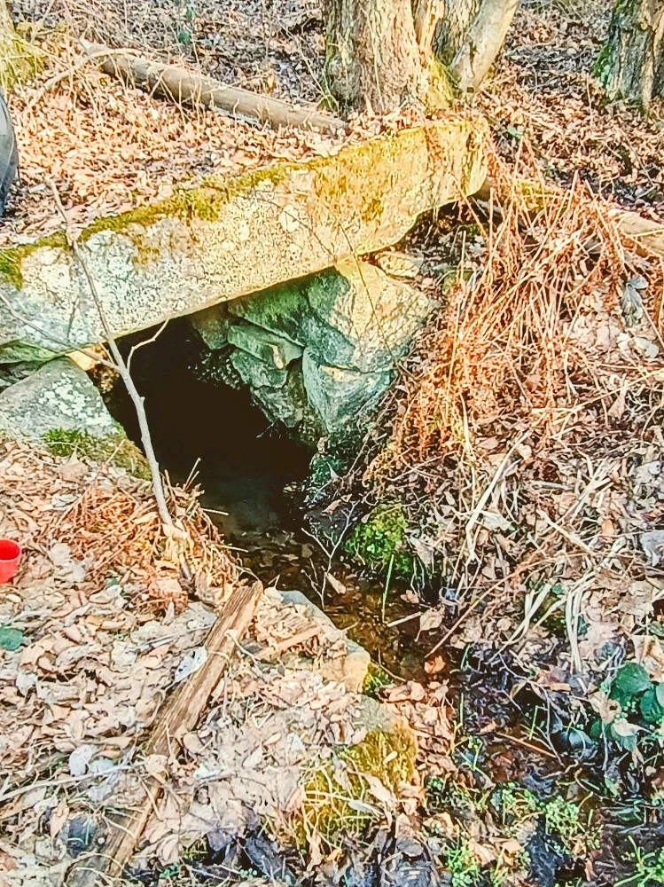studánka Neřádovka (13305) - březen 2026
