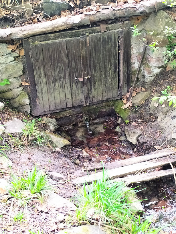 studánka bez jména (13312) - květen 2020