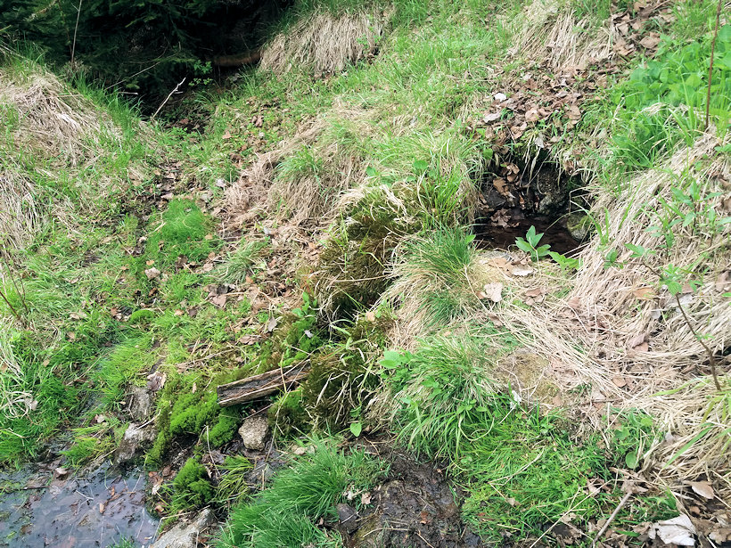 studánka bez jména (13348) - květen 2020