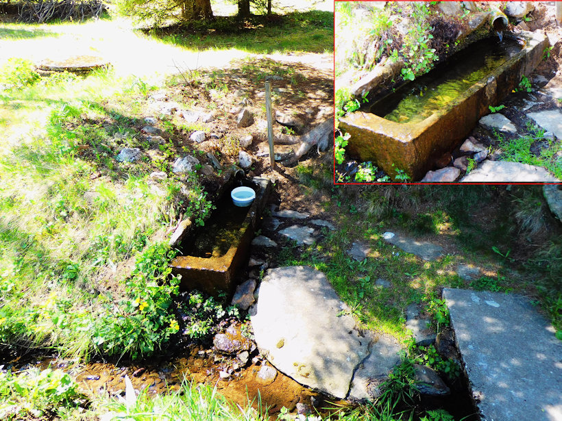 studánka bez jména (13349) - květen 2020