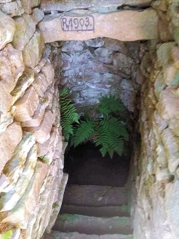 studánka Kamenná (13353) - květen 2020
