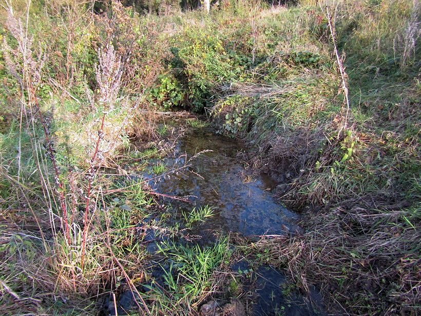 prameniště Na Hupech (13354) - říjen 2020