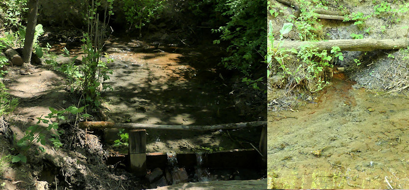 studánka Malšinka (13355) - květen 2020