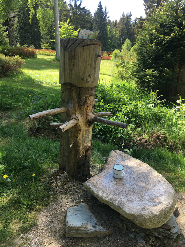 studánka bez jména (13371) - červen 2020