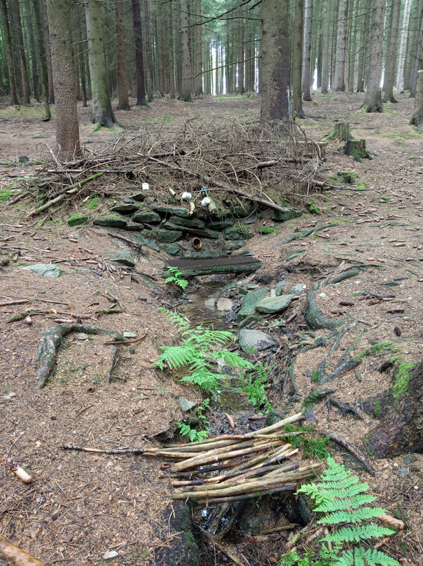 studánka Pod chatami (13376) - červen 2020