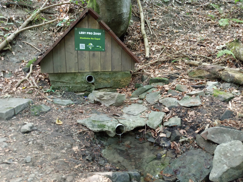 studánka Na Čapci (13379) - srpen 2022