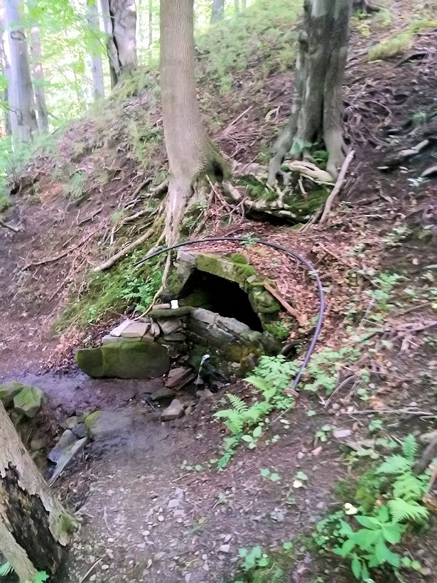 studánka V Medvědím (13385) - červen 2020