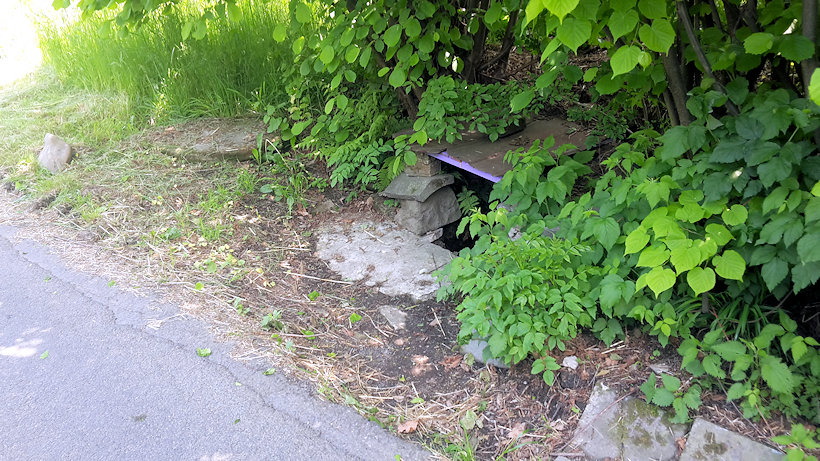 studánka bez jména (13394) - červen 2020