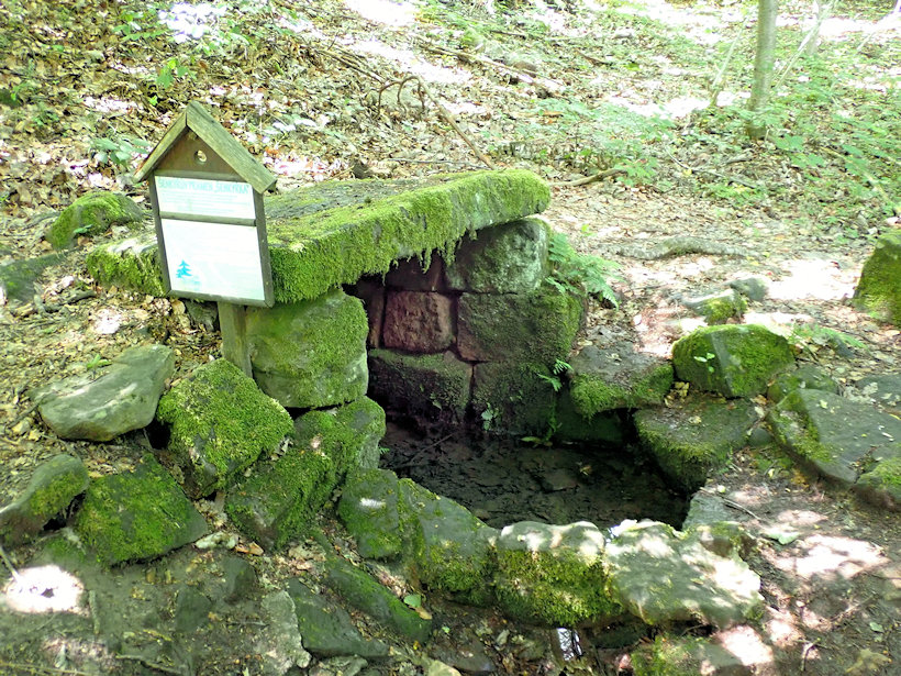 studánka Šenkýřka (13404) - červenec 2020