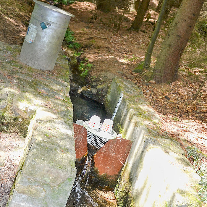 studánka Pod Kamenným vrchem (13405) - červen 2020