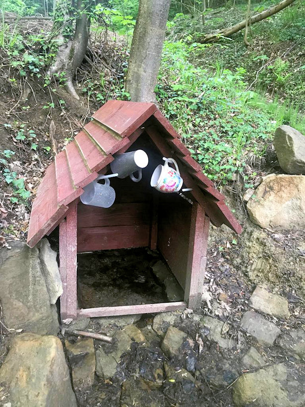 studánka Pod peciskem (13414) - červenec 2020