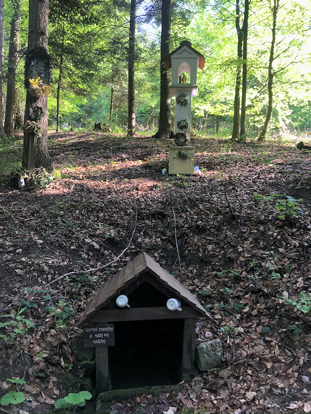 studánka Za kačinovů jamů  (13416) - květen 2020