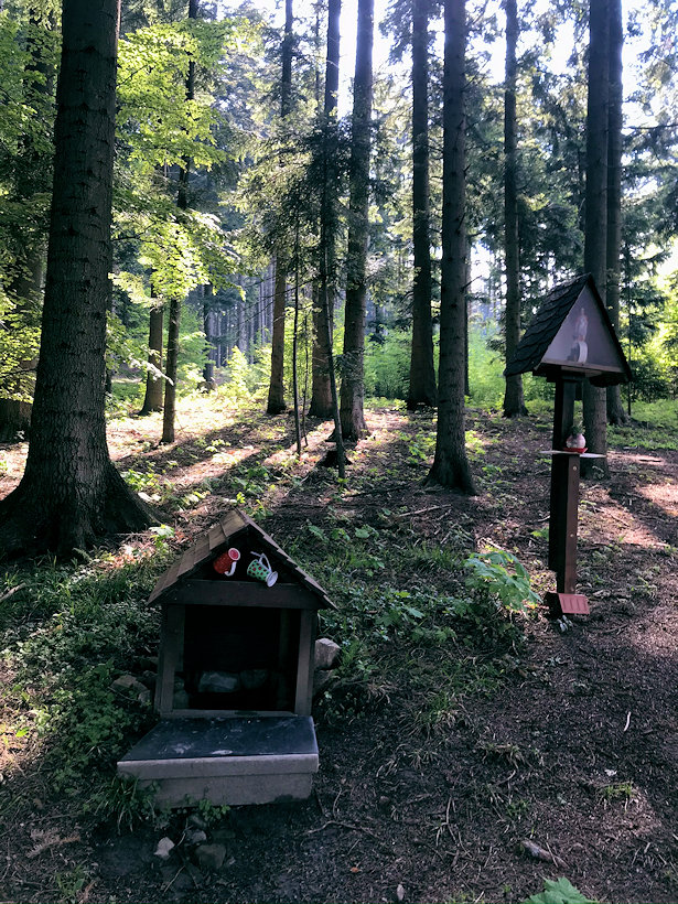 studánka Na trochtovém vrchu (13418) - květen 2020