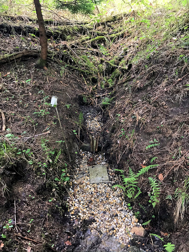 studánka Pod hořákovů lůků 2 (13422) - květen 2020