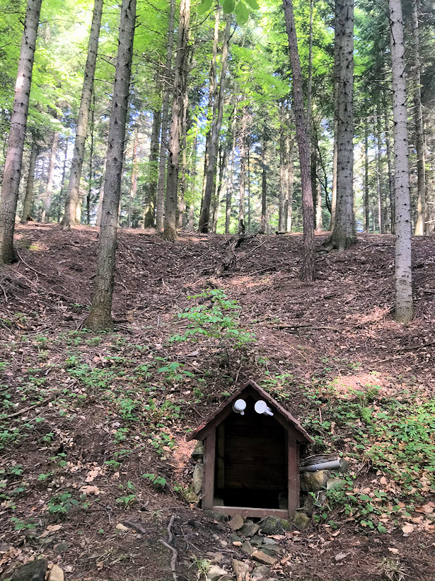 studánka V dobčíkovéj hoře (13423) - květen 2020